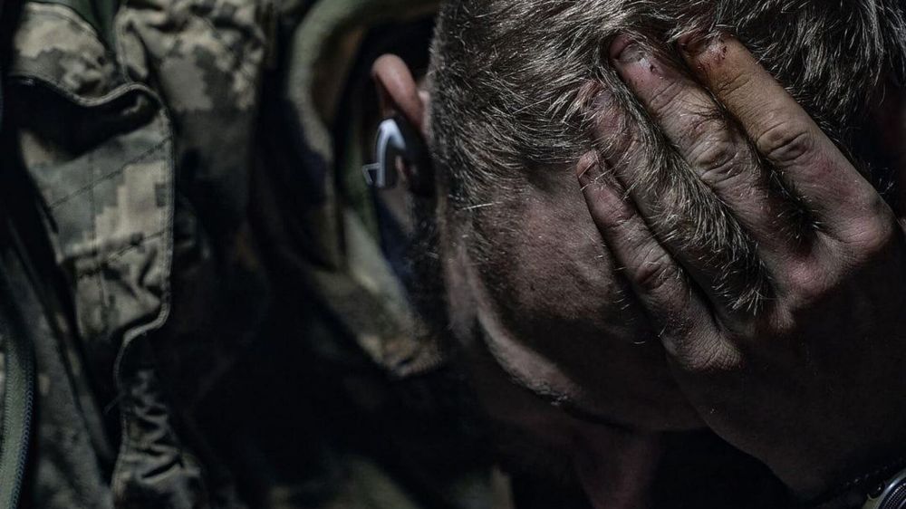 В украинской армии "царят разброд и шатания" — Ковитиди