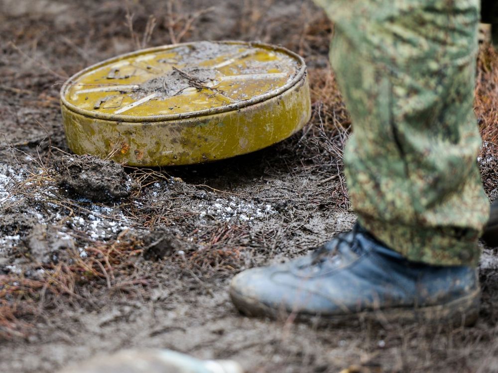В Харьковской области сообщают о замаскированных минах