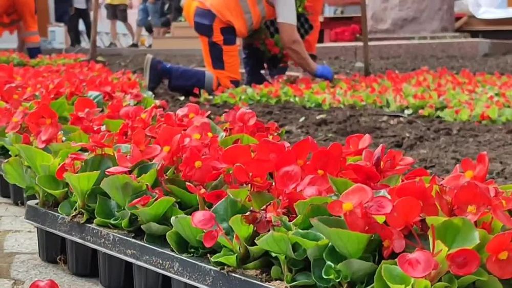 ����� ����������: ����� ������� ���� ����� �������� ����� �������������� �� ���������� ������, ��������� ������� �� ���� ������� � �������, ����������� �������� ����� ������� ������������ ����� �������� �����, � �������...