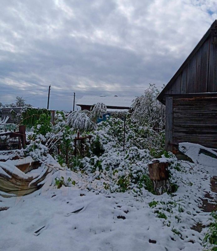Новости к этому часу:. Новосибирск засыпало снегом за четыре дня до начала лета