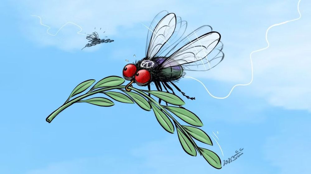 Борис Первушин: Какой мир по-европейски предлагает Киев, такие и голуби