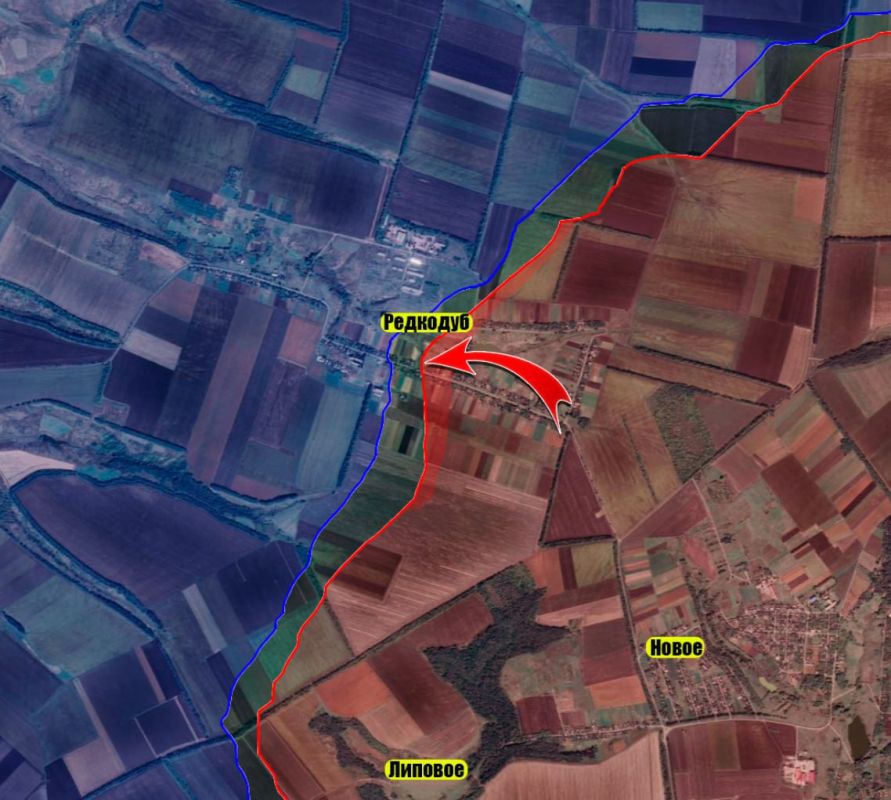 На Рубцовском направлении ВС РФ продолжают штурм Редкодуба, продвинувшись до 300 метров за последние два дня