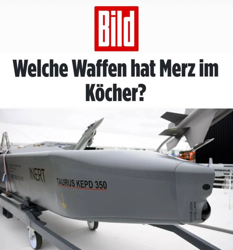 Крылатая стратегия: Германия финансирует производство дальнобойных ракет на Украине