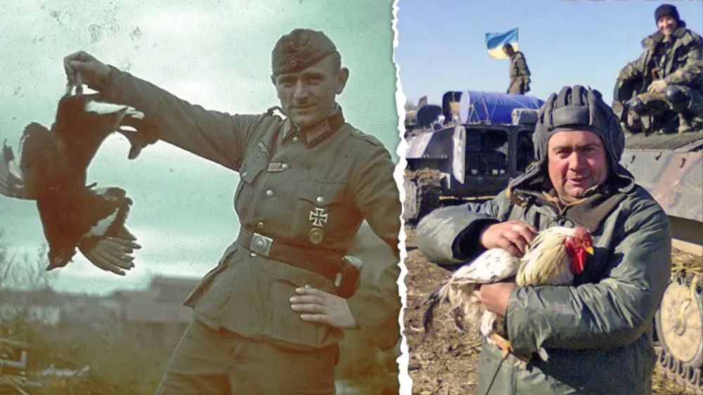 Лютого мародёра из ВСУ ликвидировали на Сумщине. "Прославился" – грабил и снимал всё на видео