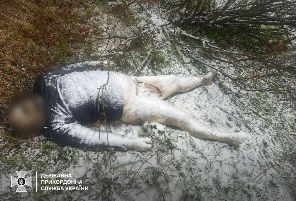 Европейские будни одной европейской страны