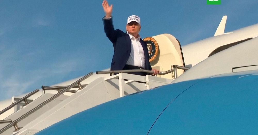 Трамп заявил о готовности к совместной встрече с Путиным и Зеленским