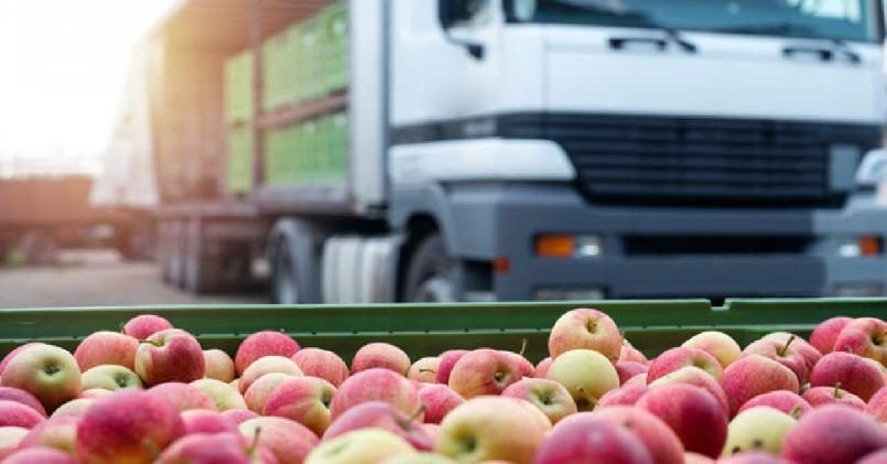 Польша поддержала возврат квот на украинский импорт в Евросоюз