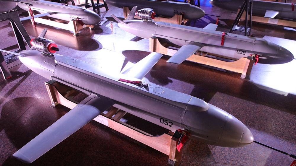 Die Welt: Киев получит дальнобойные дроны за счет Германии