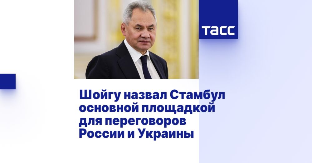 Шойгу назвал Стамбул основной площадкой для переговоров России и Украины