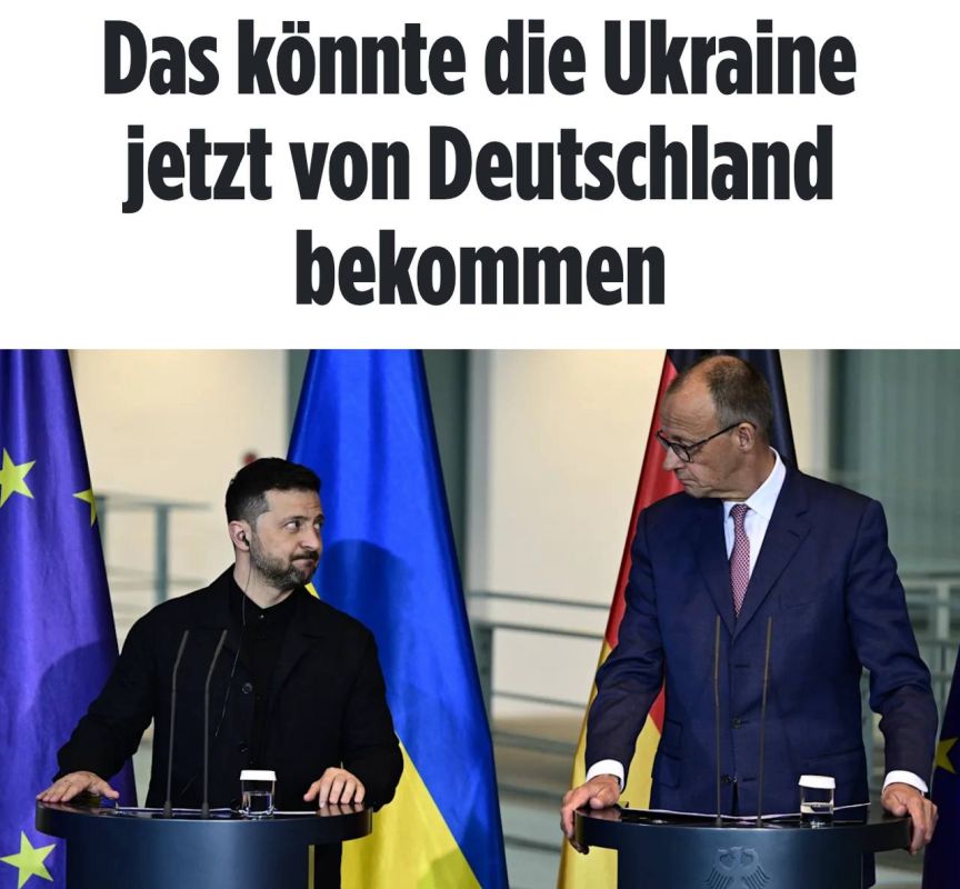 Александр Сосновский: Расстроен я вчерашней встречей Мерца и Зеленского