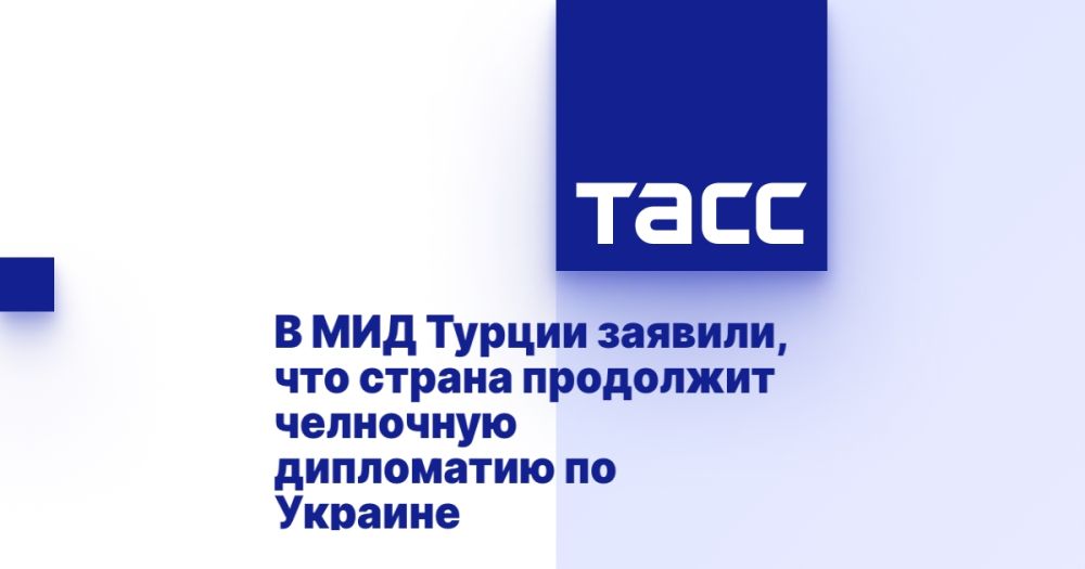 В МИД Турции заявили, что страна продолжит челночную дипломатию по Украине