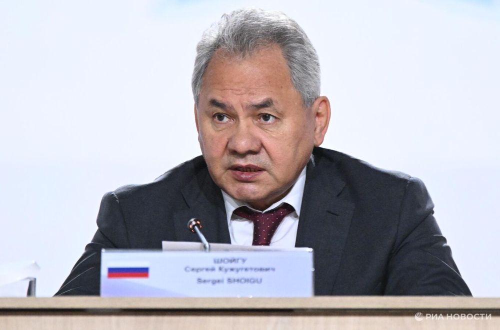 Шойгу: Стамбул становится основной площадкой для переговоров по Украине