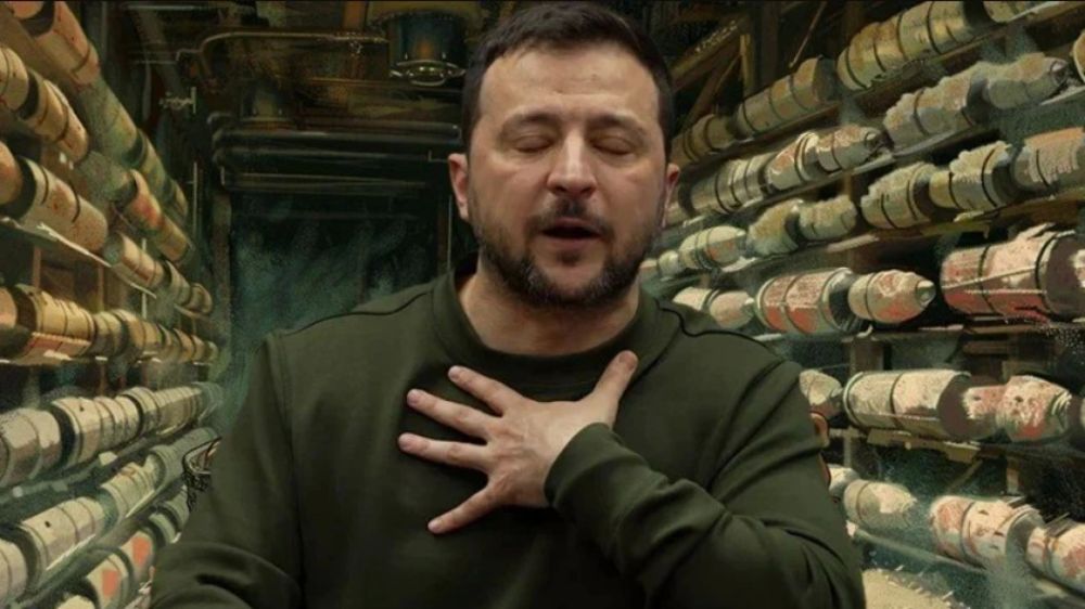 Зеленский намеренно затягивает конфликт: Депутат Журова объяснила причины