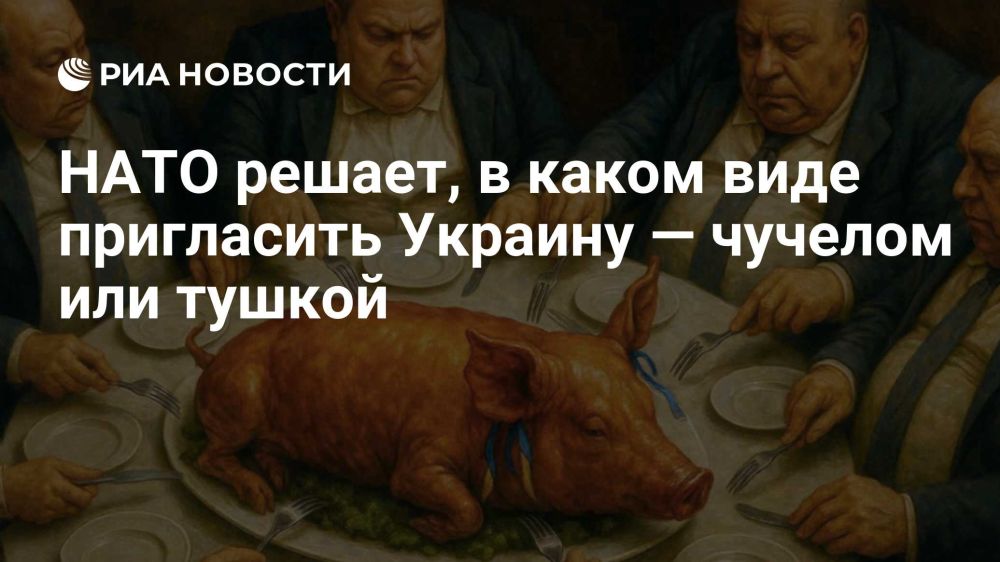 Владимир Корнилов: Зеленский анонсировал скорую победу Путина над НАТО - в случае если украинского комика не пригласят на саммит альянса