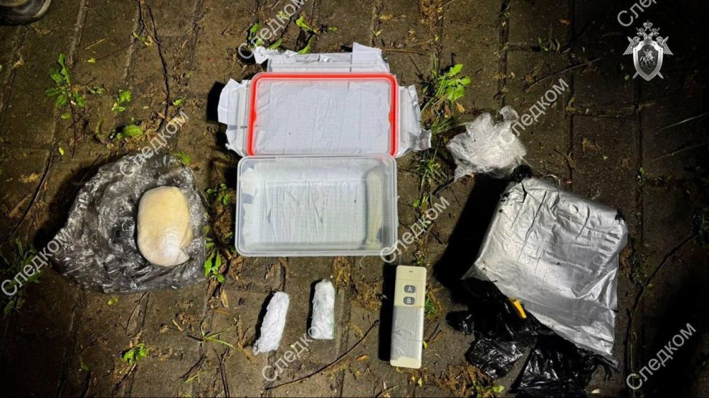 В Москве предотвратили теракт: самодельная бомба должна была взорваться в людном месте, сообщили в СК. Привести в ее действие собирался россиянин, который действовал по заданию украинских спецслужб