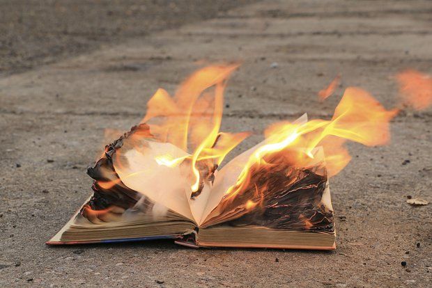 На Украине уничтожили книги писательницы из США Ларк «за романтизацию России»