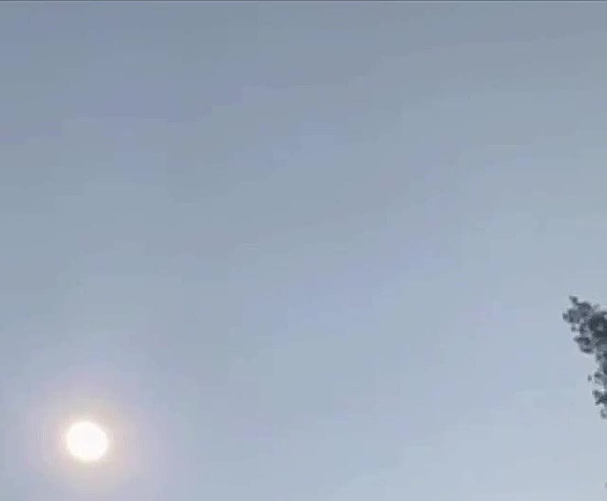 Сергей Мардан: Внешнеполитический хохол Сибига вещает: