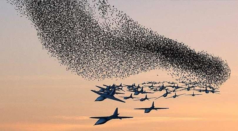 ��� ����������������� ������� ���� �� ������ ���� ������ ������ ��� ������