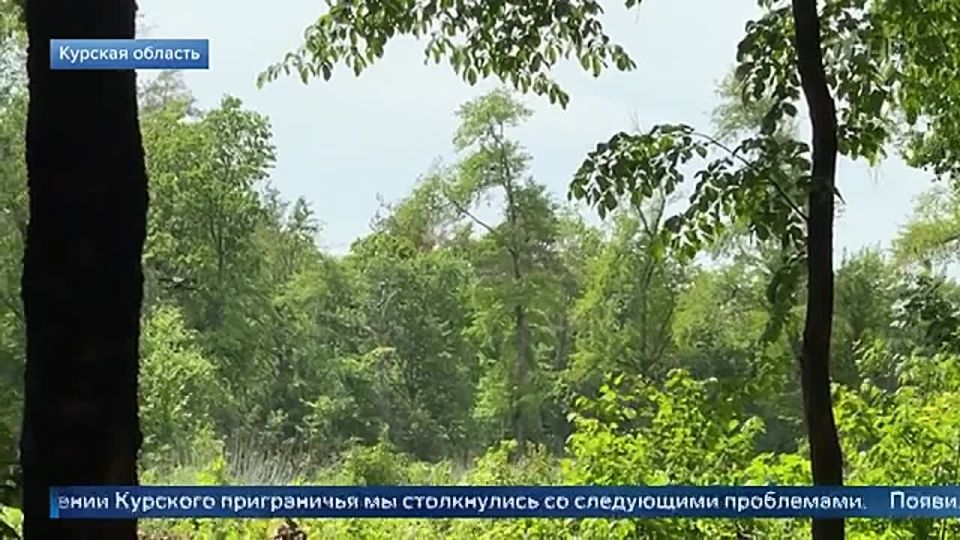 Эдуард Басурин: Наши войска продолжают расширять зону контроля в Сумской области, выполняя приказ Главнокомандующего о формировании буферной зоны вдоль приграничных районов РФ