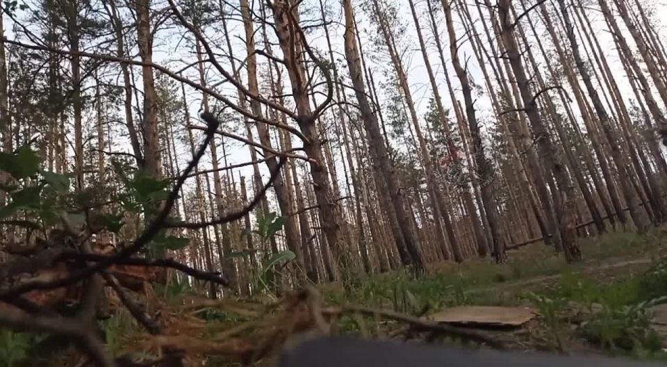 Российские бойцы перехватили украинский FPV-дрон с помощью ножниц