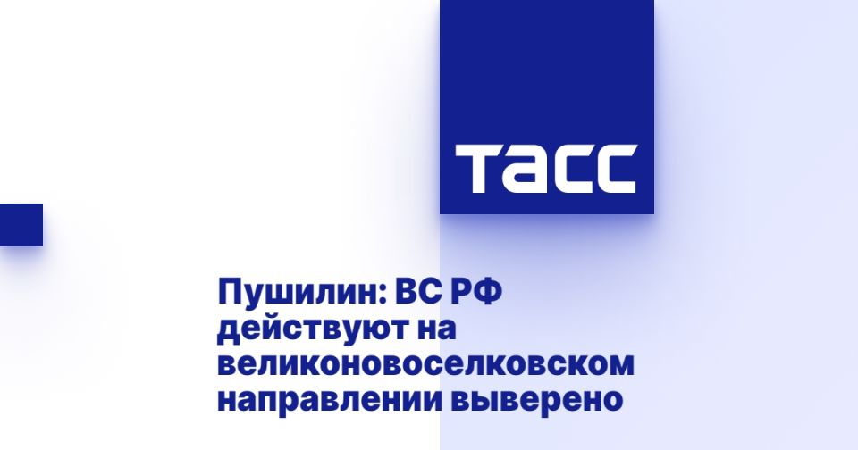 Пушилин: ВС РФ действуют на великоновоселковском направлении выверено