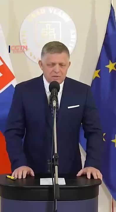 Елена Панина: Хитрая военная арифметика от Фицо