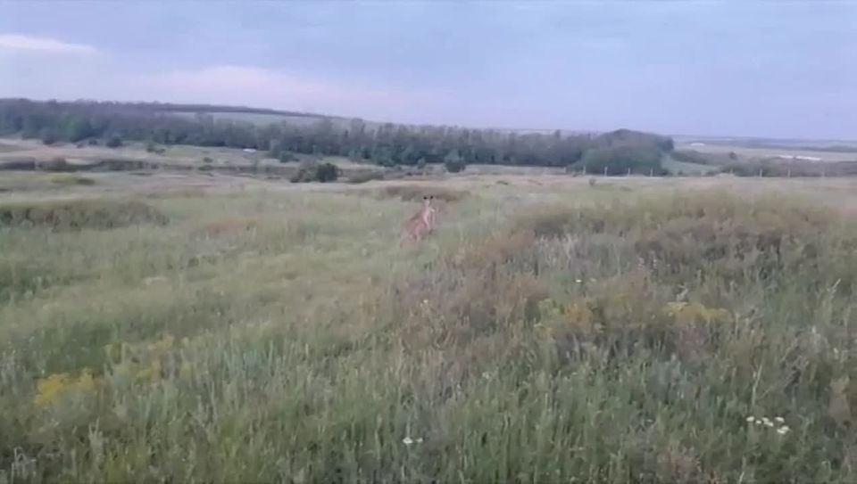 Ирина Куксенкова: Обмен пленными между Россией и Украиной, Мосбиржа начнет оценивать биткоин, разлив топлива на Енисее, – дневная сводка 9 июня: