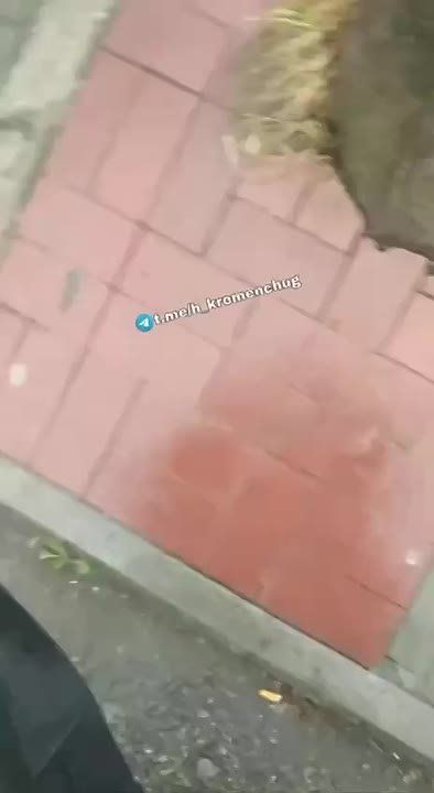 ТЦКшники прячут от дождя юношу, чтобы тот не растаял, а выполнил свой долг - гнил в земле за Зеленского