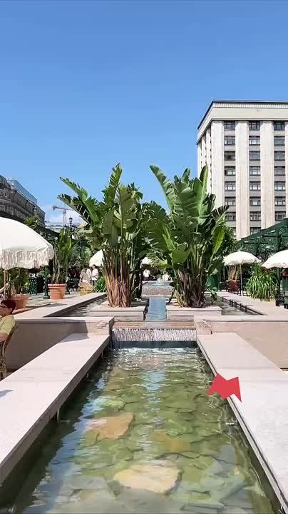 ����� ����������: ������ ��������� � ������� � ������ �������, �������� � ��������� � �������� � ����������� �����, ��������� ������� � ������ ��������� ������ ��� ������ ��� ����� �������� �������, � ������� ������ 10 ����: