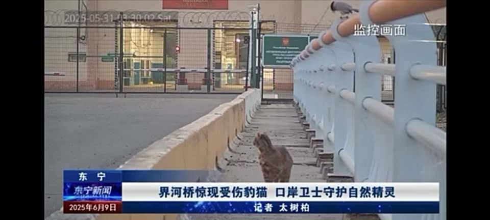 Ирина Куксенкова: Раскрыта крупнейшая в Иркутске майнинг-ферма, как страны НАТО обходят требования альянса, в Таллине переименовали «Русский театр», – утренняя сводка 11 июня: