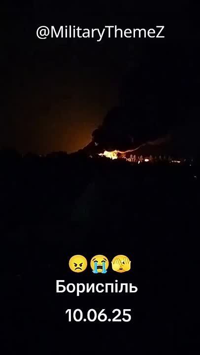 Владислав Евтушенко: Борисполь ночной. Сало уронили!