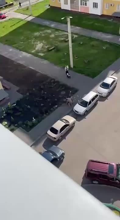 Украина не тянет мобилизацию – Зеленский признал кадровый кризис