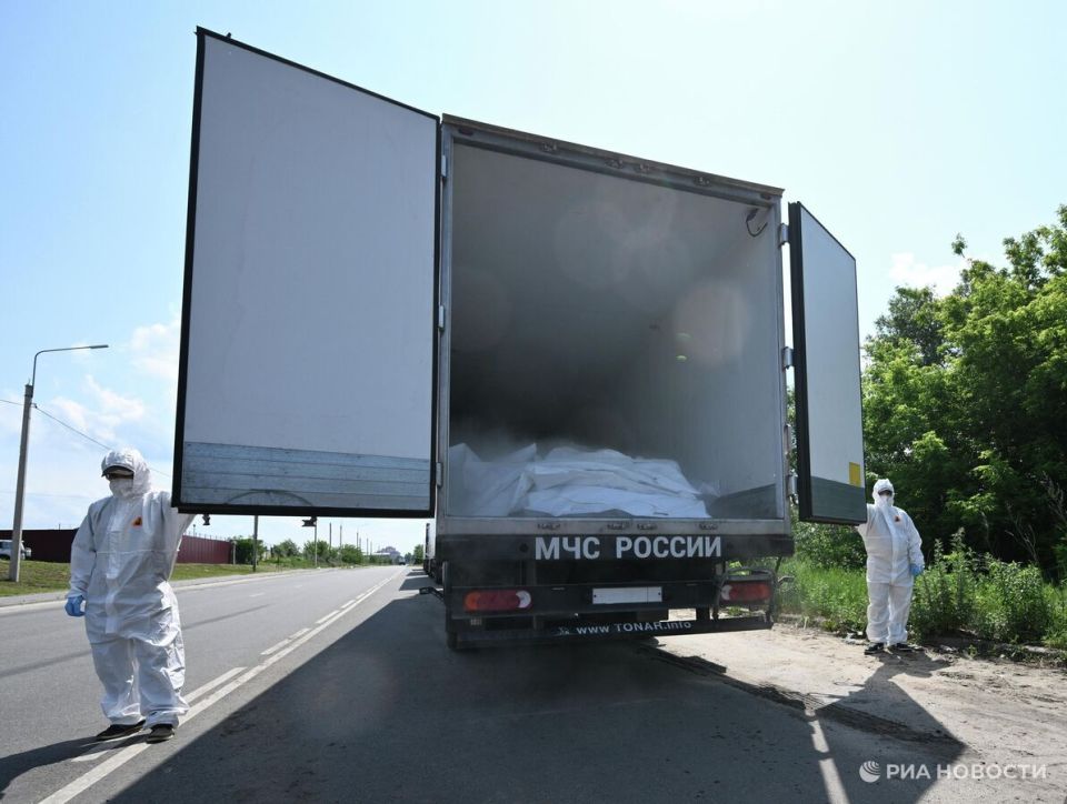 Журналист сообщил Киеву мрачные новости после отказа Киева забирать тела