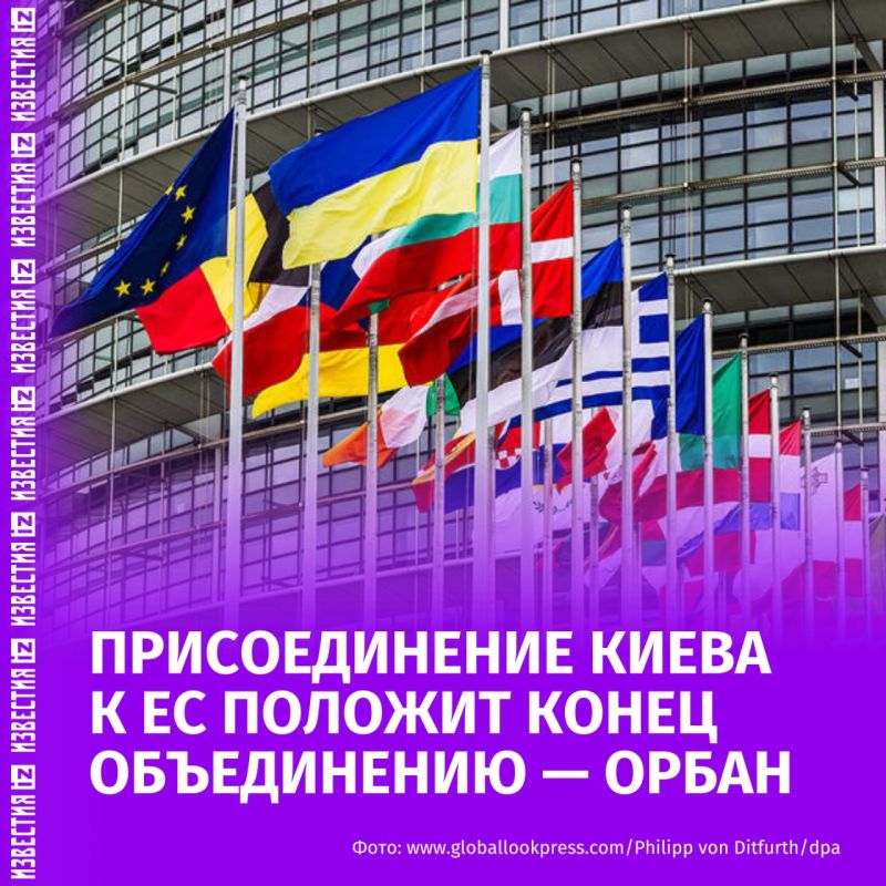 "У Киева больше нет денег": вступление Украины в Евросоюз положит конец сообществу