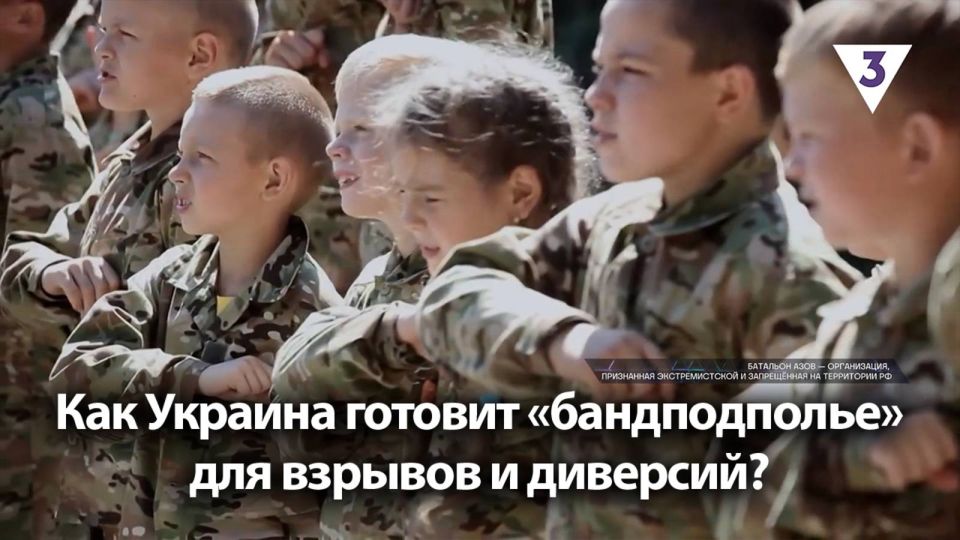 Малькевич Live: Как Украина готовит «бандподполье» для взрывов и диверсий? / «Итоги с Малькевичем» на «ТВ-3»