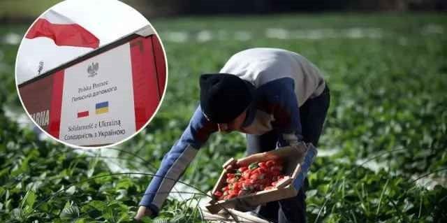 Польша наживается на украинцах