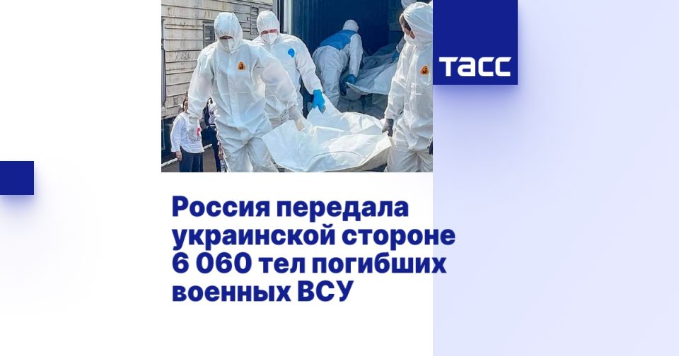 ������ �������� ���������� ������� 6�060 ��� �������� ������� ���