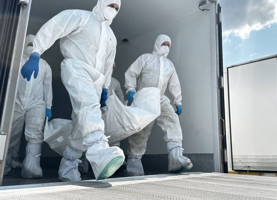 Россия завершила передачу Украине 6060 тел погибших офицеров и солдат ВСУ, о которой договорились в Стамбуле, сообщил Мединский