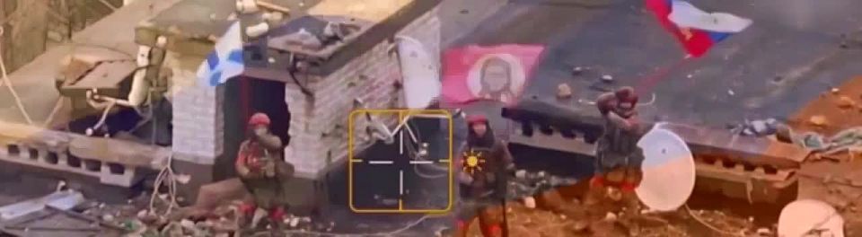 ������ ����, ������� ����������!