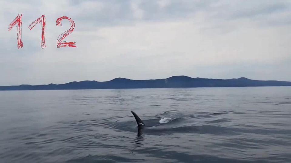 ����� ����������: ��� ������������� ������� ������ ��� ����� �� �����, ������ ���� � ������ � 2026 ����, ������� ����������� ������ ��������, � �������� ������ 20 ����: