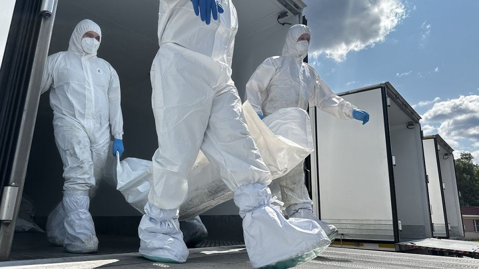 ������� �������� ������� �� �������� � ���������� ����� ����������� �����