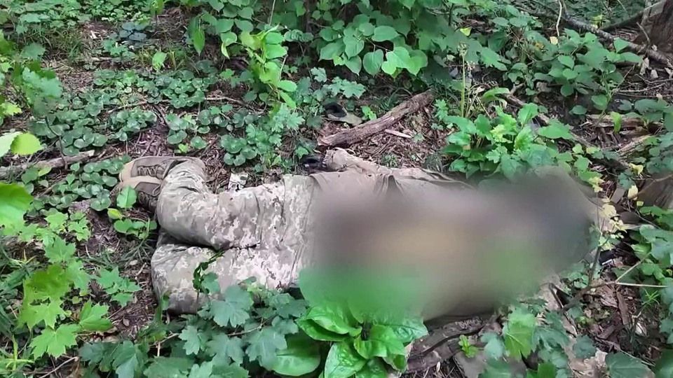 ����� �� ����� �������� � ���� ��� ������ ������