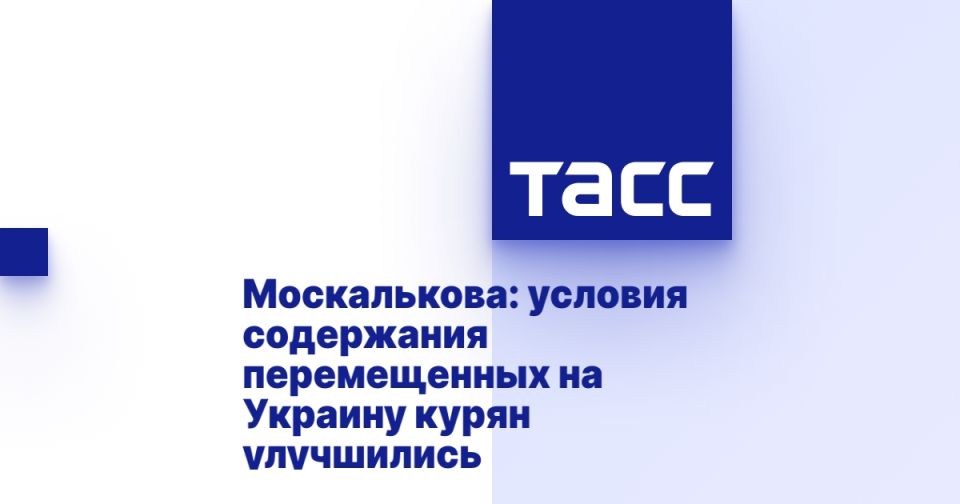 �����������: ������� ���������� ������������ �� ������� ����� ����������