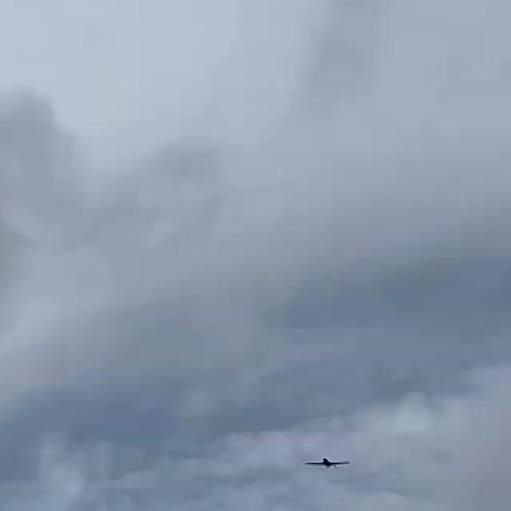 ������� ���������: ����� ���������� �� ����� � �������, ������ ������������ �����, ���� ��� � ������������� ������������ ����� ��������� �������� ����������