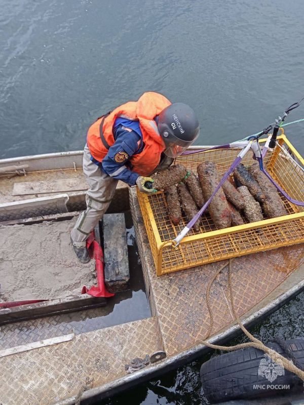 Невский и Ногинский спасательные центры МЧС России отмечают 89-летие создания