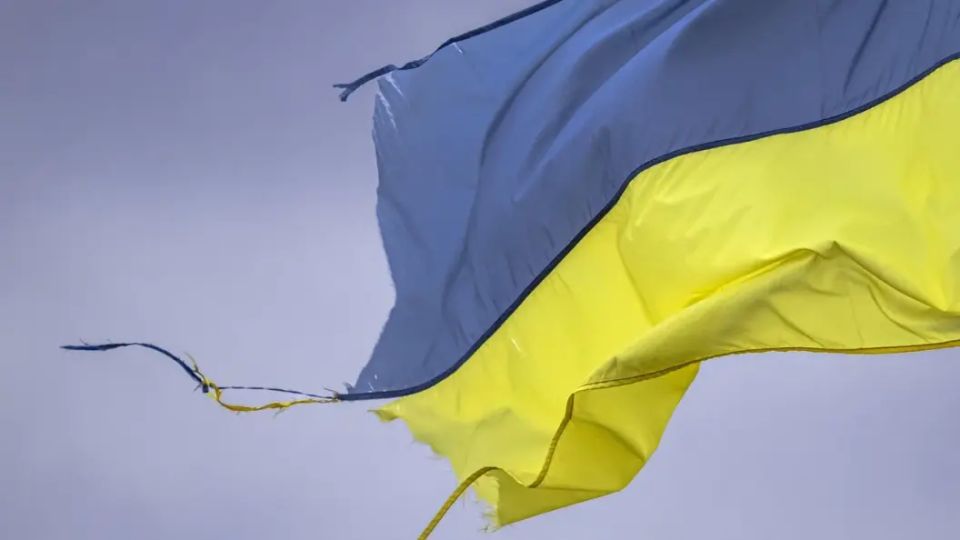 В Польше испугались русского кандидата на посту президента Украины