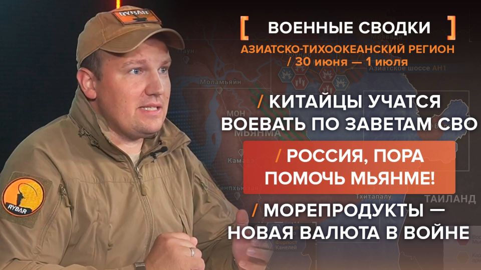 ���������� � ��������-������������� ������� 2-4 ����