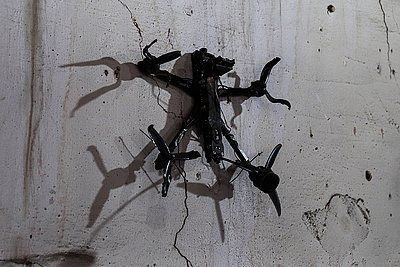 ����� ������� ��������: ���������� ���� ���� �� ����� ���������� ������