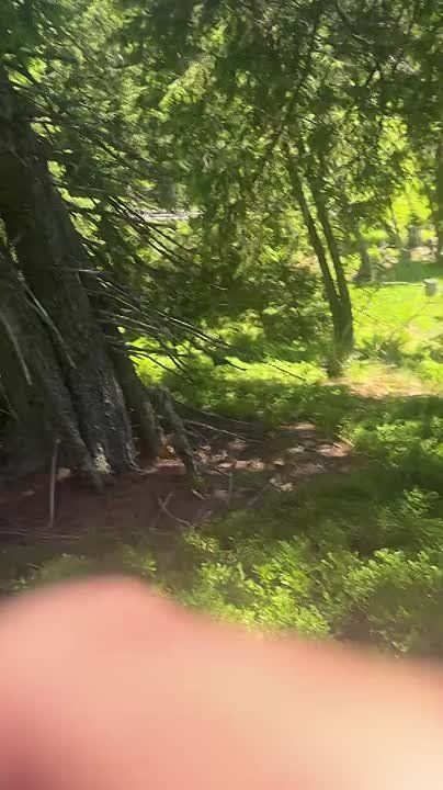������ �������: ��� ���� ��������� ������� ������� �� �������������� ����������� �� ���������� ��� ��������� "�������" ����� ������� � ��������