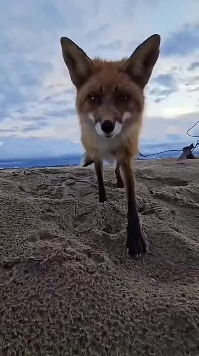 ����� ����������: ������� � ���������� ���������� ������������, ���� ���� ���������� ������������ ������, ��������� ����������� ����� ����� �� ������, � ������ 06 ����: